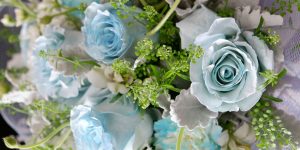 Hoa Tuoi Lama Flower Tphcm Sai Gon